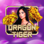 Dragon Tiger on bingo plus com
